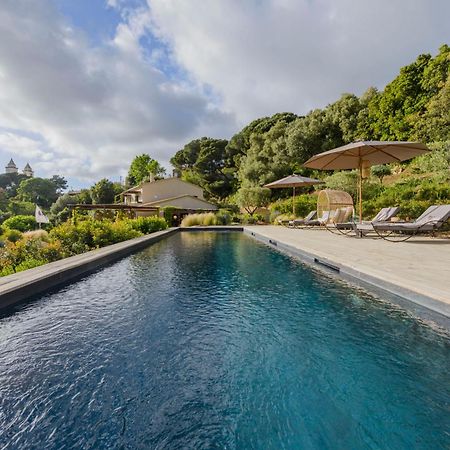 Terre De Maquis, Maison D'Hotes Vue Mer Corse Sari-D'orcino Ngoại thất bức ảnh