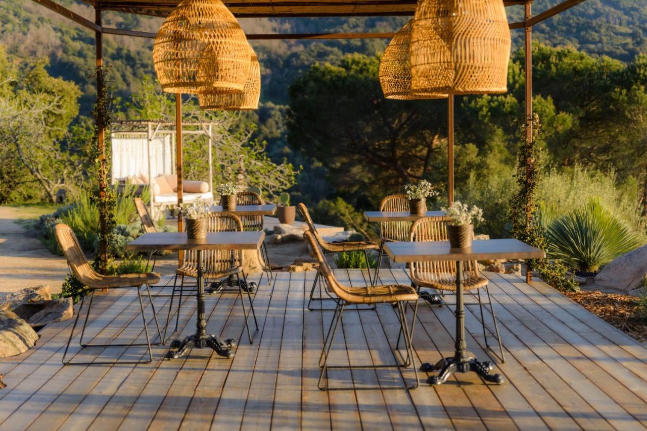 Terre De Maquis, Maison D'Hotes Vue Mer Corse Sari-D'orcino Ngoại thất bức ảnh