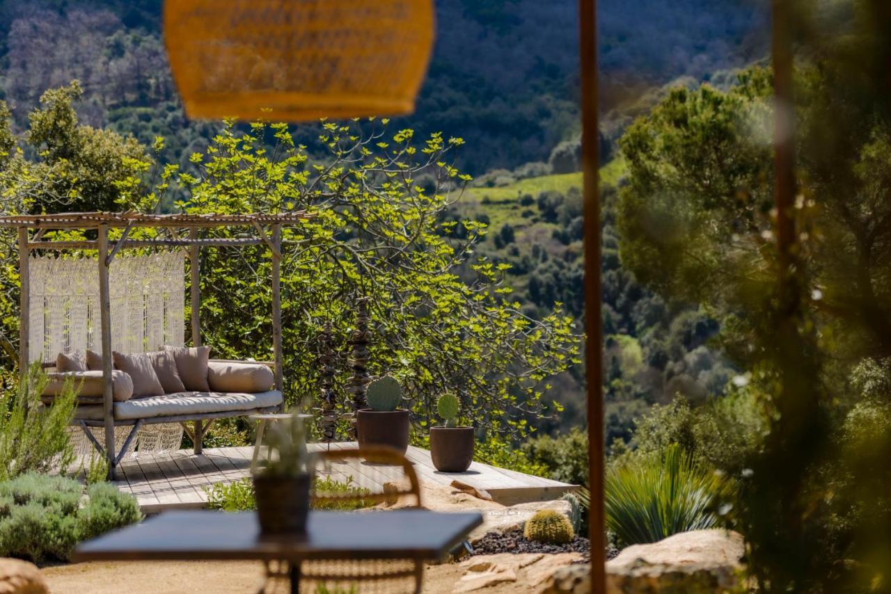 Terre De Maquis, Maison D'Hotes Vue Mer Corse Sari-D'orcino Ngoại thất bức ảnh