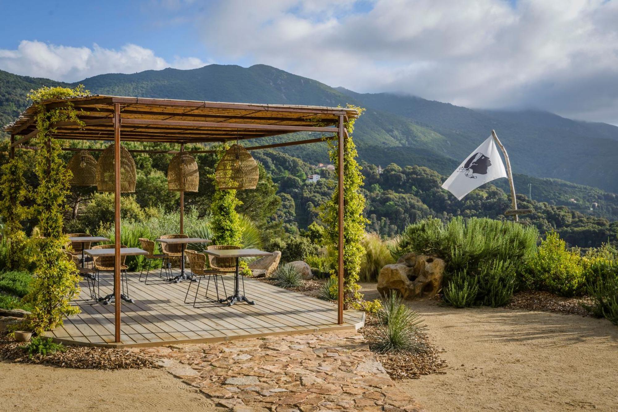 Terre De Maquis, Maison D'Hotes Vue Mer Corse Sari-D'orcino Ngoại thất bức ảnh