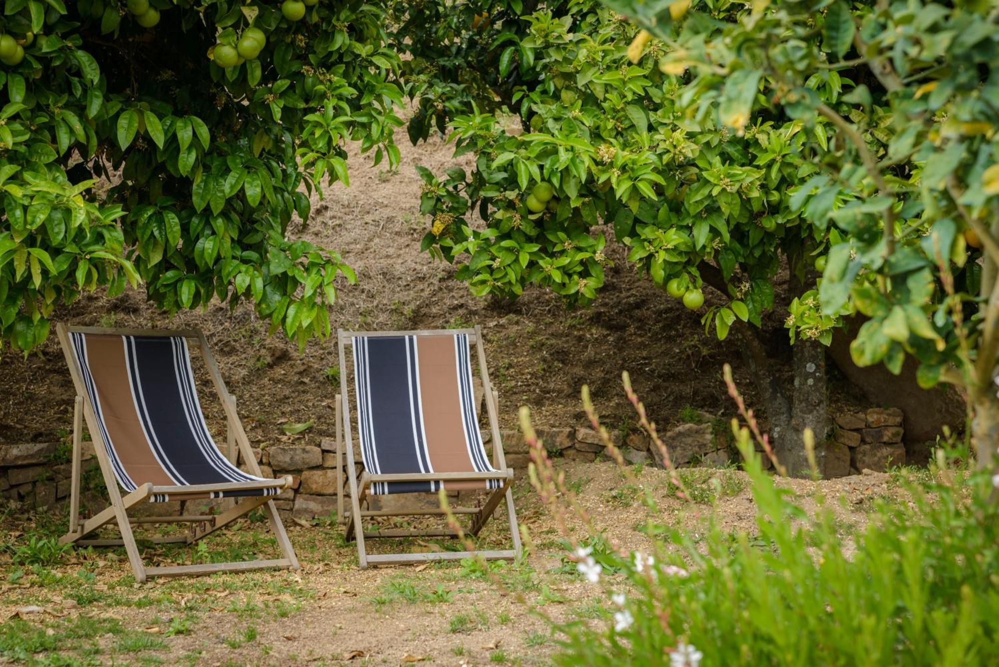 Terre De Maquis, Maison D'Hotes Vue Mer Corse Sari-D'orcino Ngoại thất bức ảnh